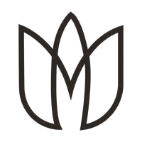 Logo Advance Aesthetics Spa By Indra